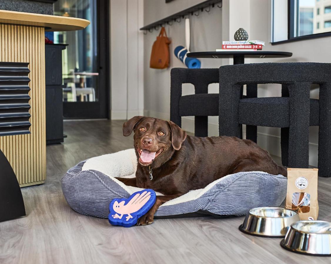 Catbird Hotel DEN Zewnętrze zdjęcie