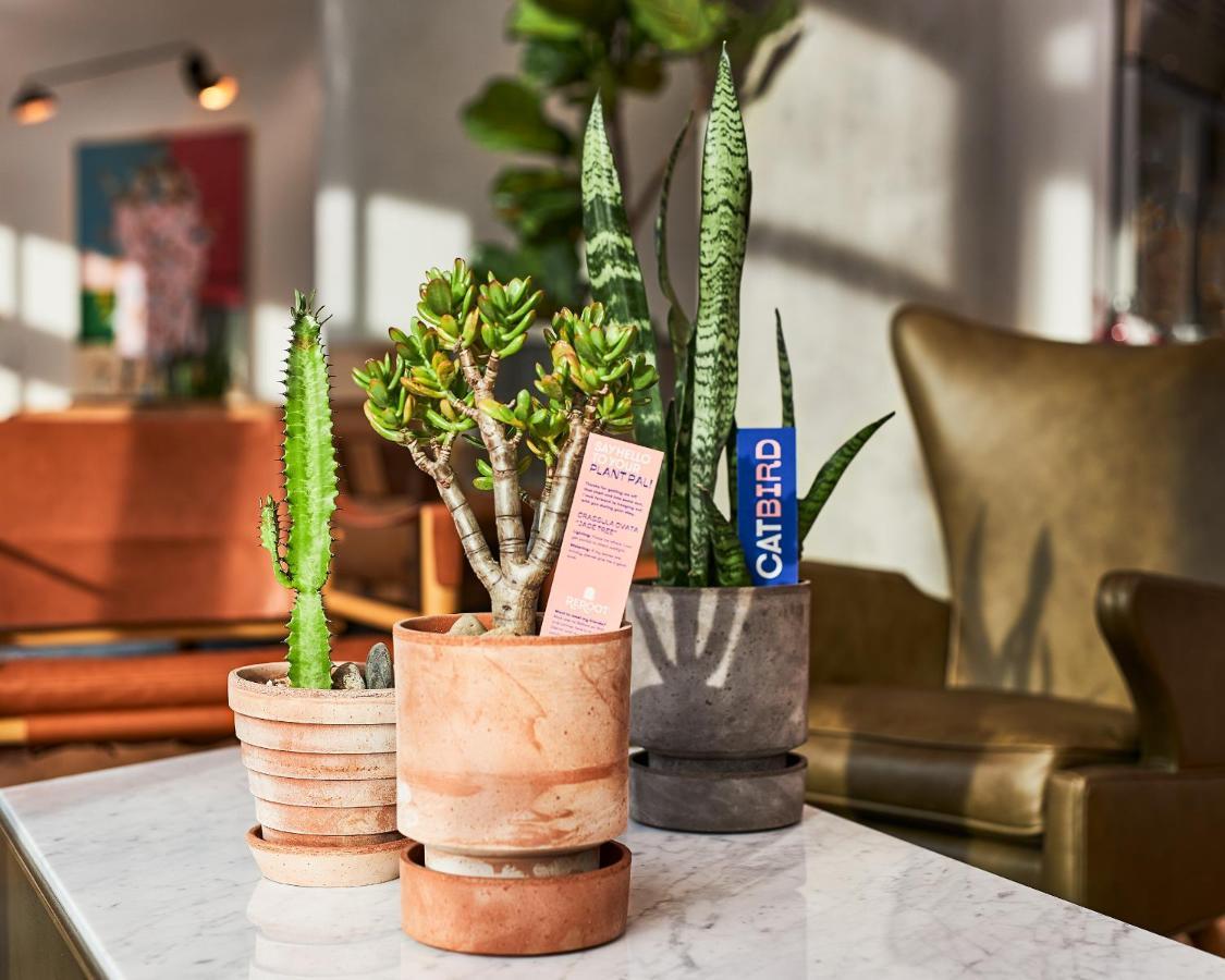 Catbird Hotel DEN Zewnętrze zdjęcie
